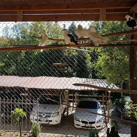 Διαμέρισμα Casa Santi